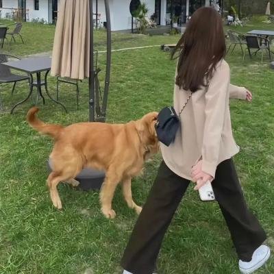 健身世界第三季